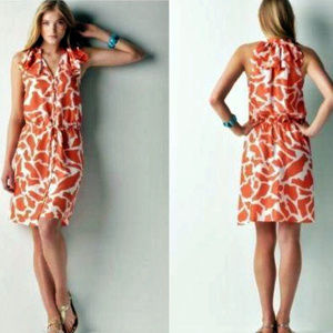 🎉🎉HP🎉🎉 Ann Taylor LOFT Ruffle Collar Dress 4P